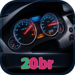 20br
